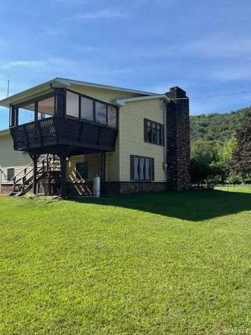 17 Watson, Roscoe, NY 12776