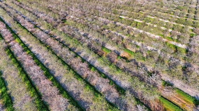 12009 E Shaw Avenue, Clovis, CA 93619