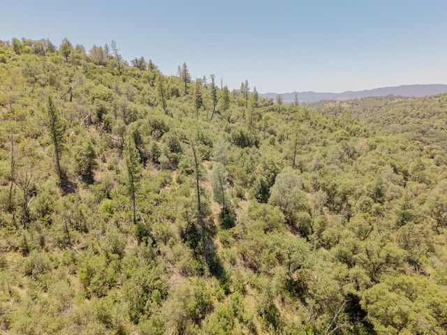 5912 Old Gulch Rd, San Andreas, CA 95249