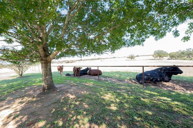 2542 Witter RD, Lockhart, TX 78644