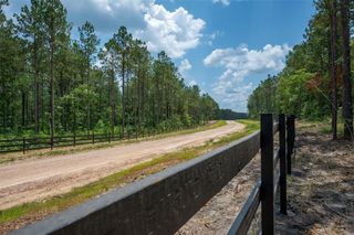 Tract 14 Timberland Branch Drive, Woodville, TX 75979