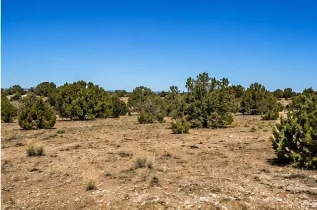 4 Hollyhock Cir, Santa Fe, NM 87506