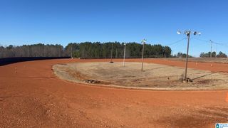 16577 COUNTY ROAD 87, Woodland, AL 36280