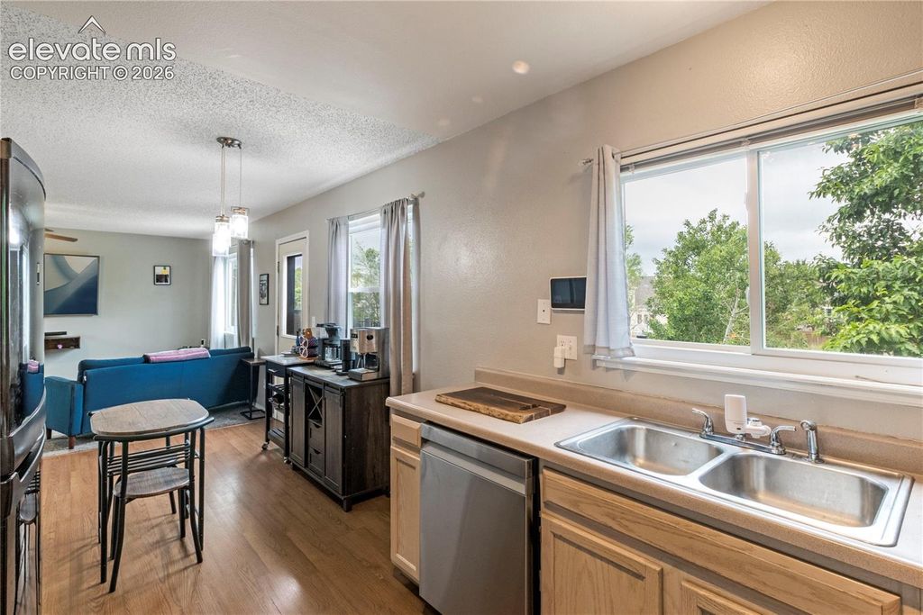 4660 Badlands Court, Colorado Springs, CO 80922 — photo 4