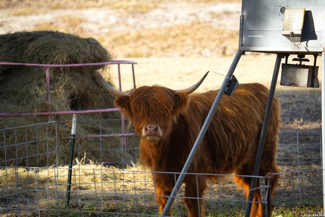 322 Dublin, Floresville, TX 78114