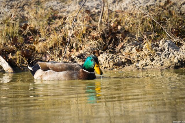 322 Dublin, Floresville, TX 78114