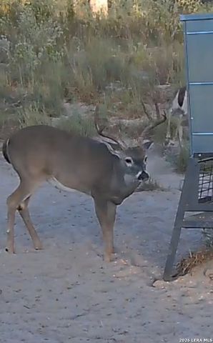 322 Dublin, Floresville, TX 78114