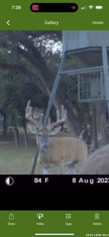 322 Dublin, Floresville, TX 78114