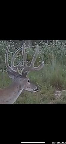 322 Dublin, Floresville, TX 78114