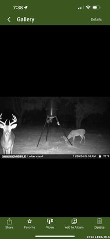 322 Dublin, Floresville, TX 78114