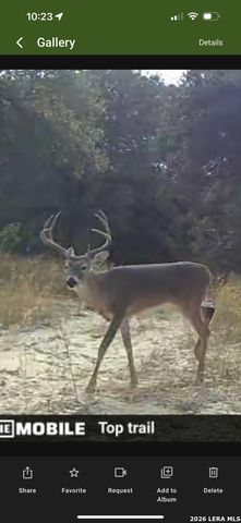 322 Dublin, Floresville, TX 78114