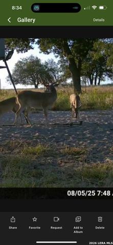 322 Dublin, Floresville, TX 78114