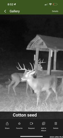 322 Dublin, Floresville, TX 78114