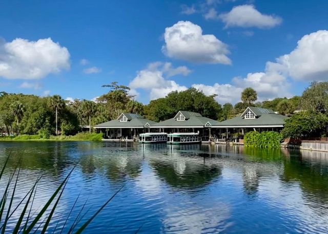4300 NE 132ND COURT, Silver Springs, FL 34488