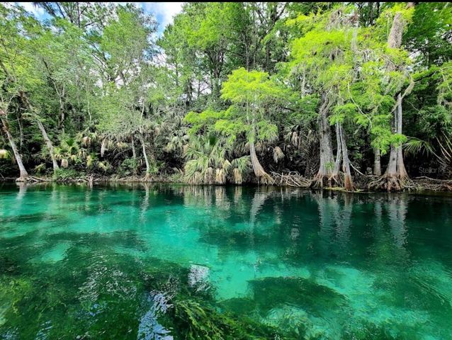 4300 NE 132ND COURT, Silver Springs, FL 34488