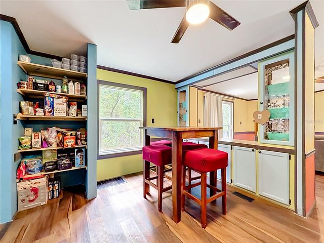 4300 NE 132ND COURT, Silver Springs, FL 34488