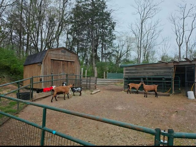 196 Southside Road, Sweetwater, TN 37874