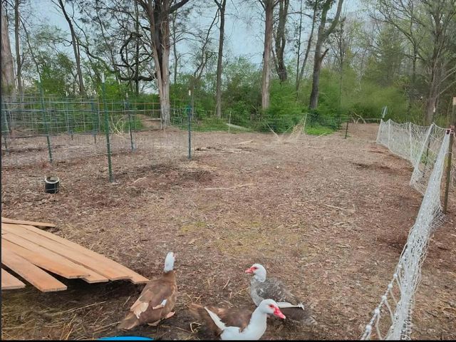 196 Southside Road, Sweetwater, TN 37874