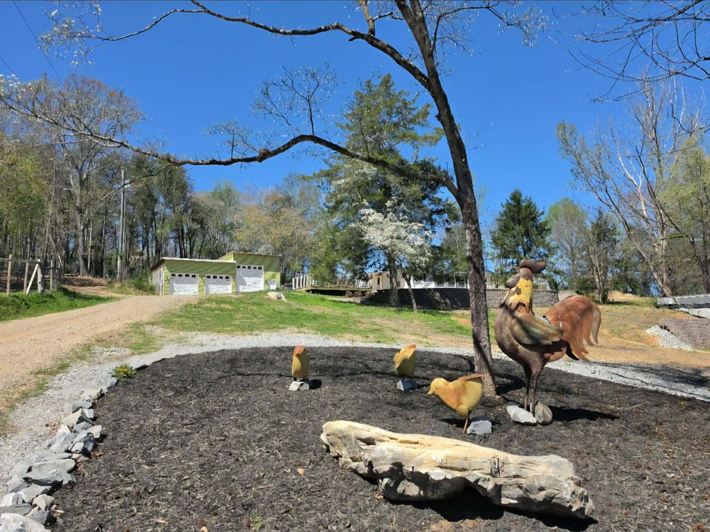 196 Southside Road, Sweetwater, TN 37874