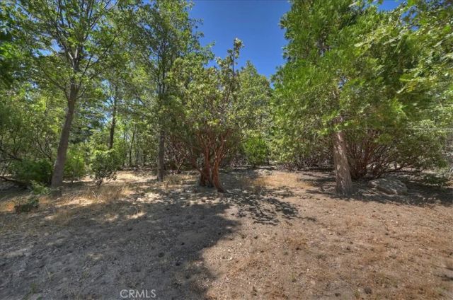 499 Golf Course, Lake Arrowhead, CA 92352