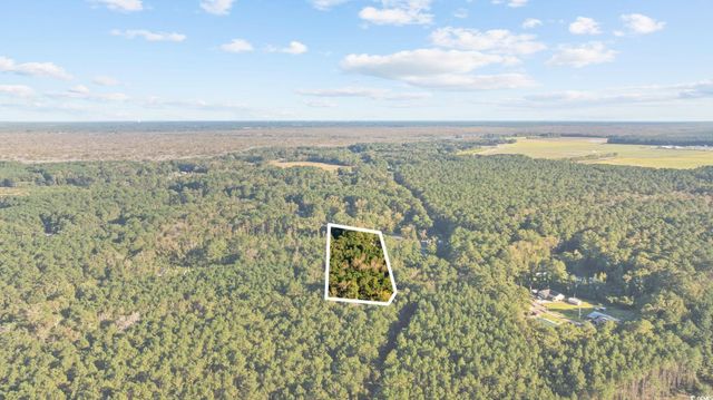 TBD Mahalia Dr., Conway, SC 29527