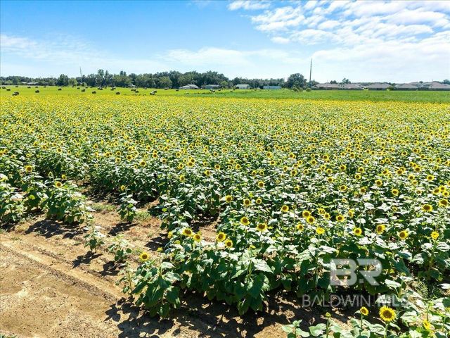 0 Underwood Road, Foley, AL 36535