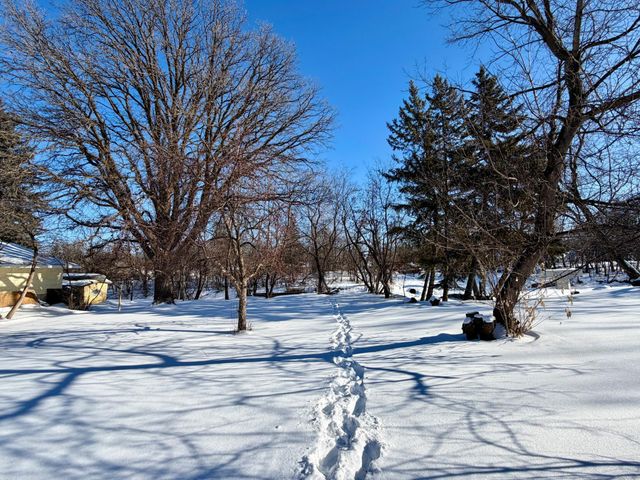 602 Main Avenue N, Roseau, MN 56751