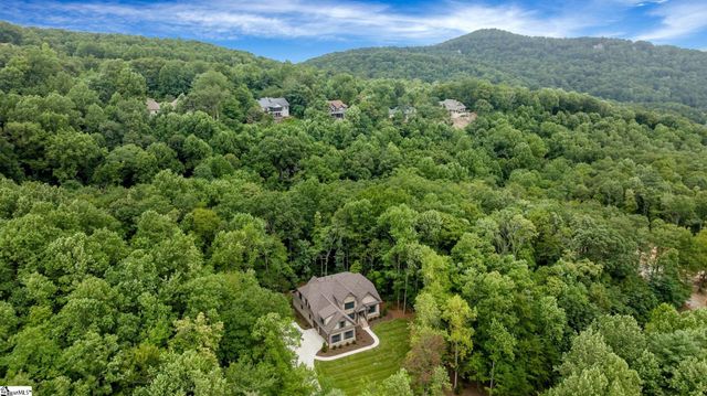 227 Snap Dragon Way, Landrum, SC 29356