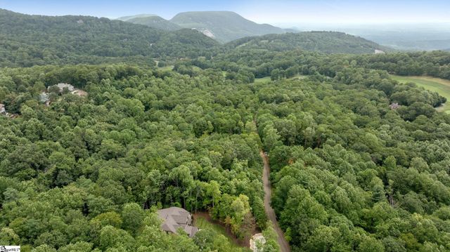 227 Snap Dragon Way, Landrum, SC 29356