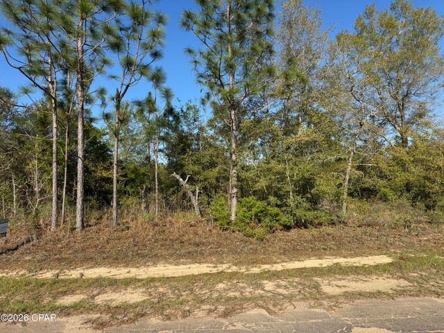 Lot 45 Cavalier Drive, Chipley, FL 32428