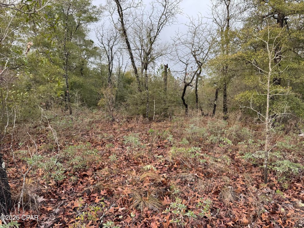 Lot 45 Cavalier Drive, Chipley, FL 32428