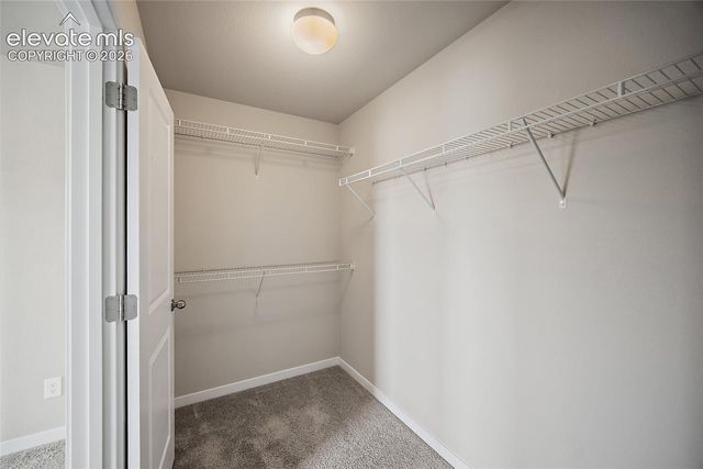 1946 Lambourne Street, Colorado Springs, CO 80910