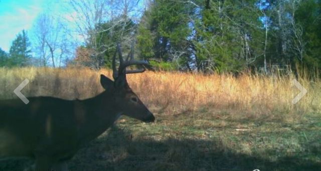 3250 Luther Ragan Rd, Palmyra, TN 37142