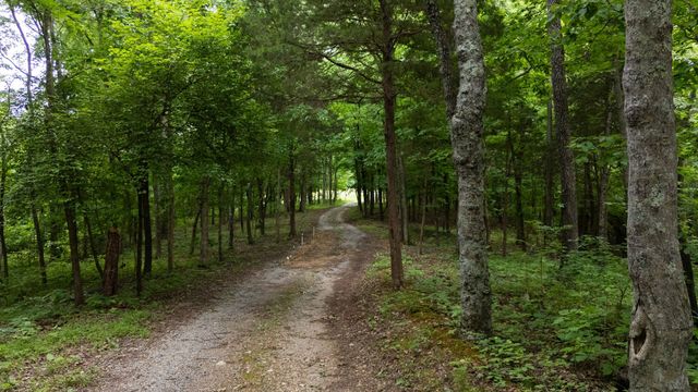 3250 Luther Ragan Rd, Palmyra, TN 37142