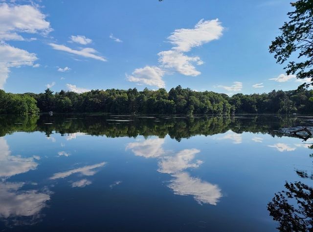 8 Wampum Path, Wayland, MA 01778