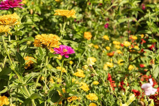 306 W Leonard STREET, Watertown, WI 53098