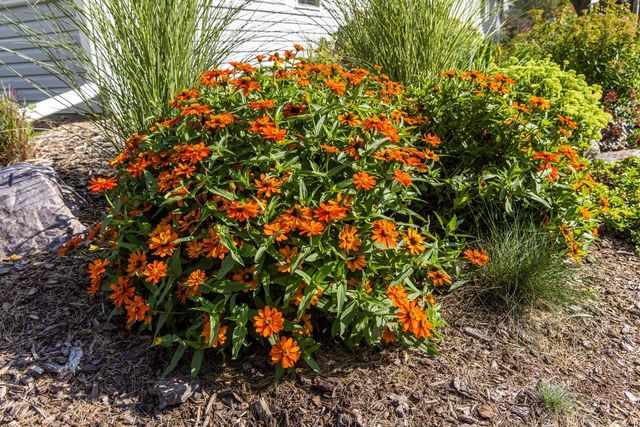 306 W Leonard STREET, Watertown, WI 53098