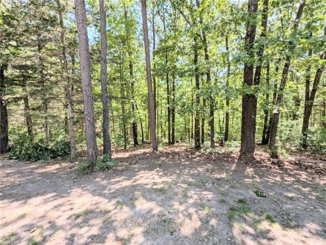 12085 Bridge Mountain, Omaha, AR 72662