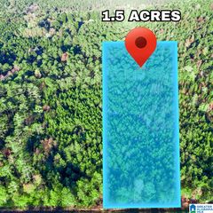 Tract 3A COUNTY ROAD 329, Wedowee, AL 36278