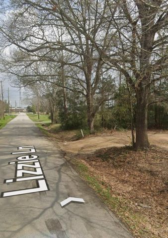 910 Lizzie Lane, Tomball, TX 77375