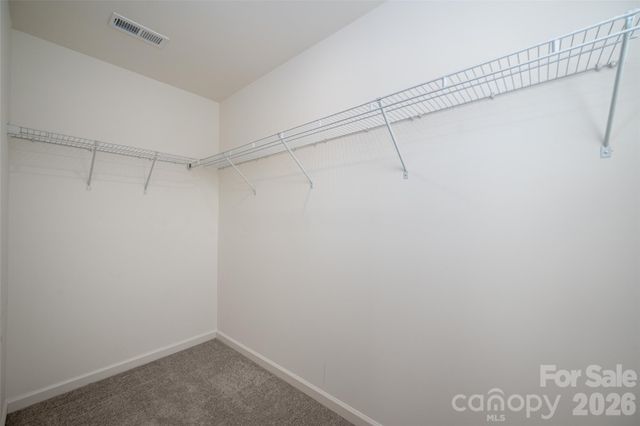 13205 Gadwal Pintail Drive, Charlotte, NC 28262