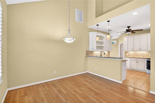 10801 SPRING MOUNTAIN PLACE, Tampa, FL 33626