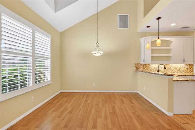10801 SPRING MOUNTAIN PLACE, Tampa, FL 33626