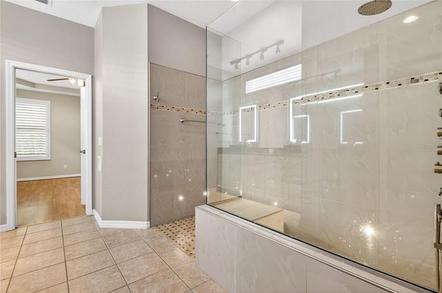 10801 SPRING MOUNTAIN PLACE, Tampa, FL 33626