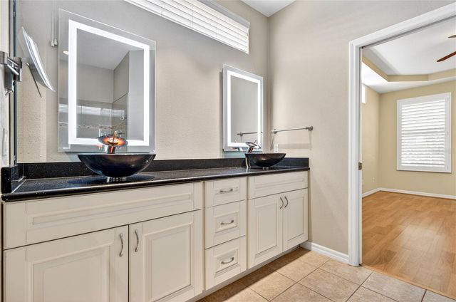 10801 SPRING MOUNTAIN PLACE, Tampa, FL 33626