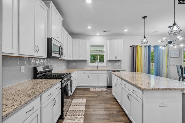 146 Belfast Way, Lexington, SC 29073