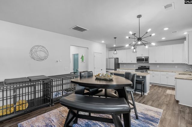 146 Belfast Way, Lexington, SC 29073