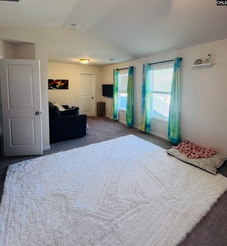 146 Belfast Way, Lexington, SC 29073