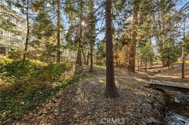 53875 Dogwood Creek, Bass Lake, CA 93604