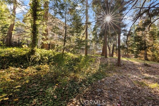 53875 Dogwood Creek, Bass Lake, CA 93604